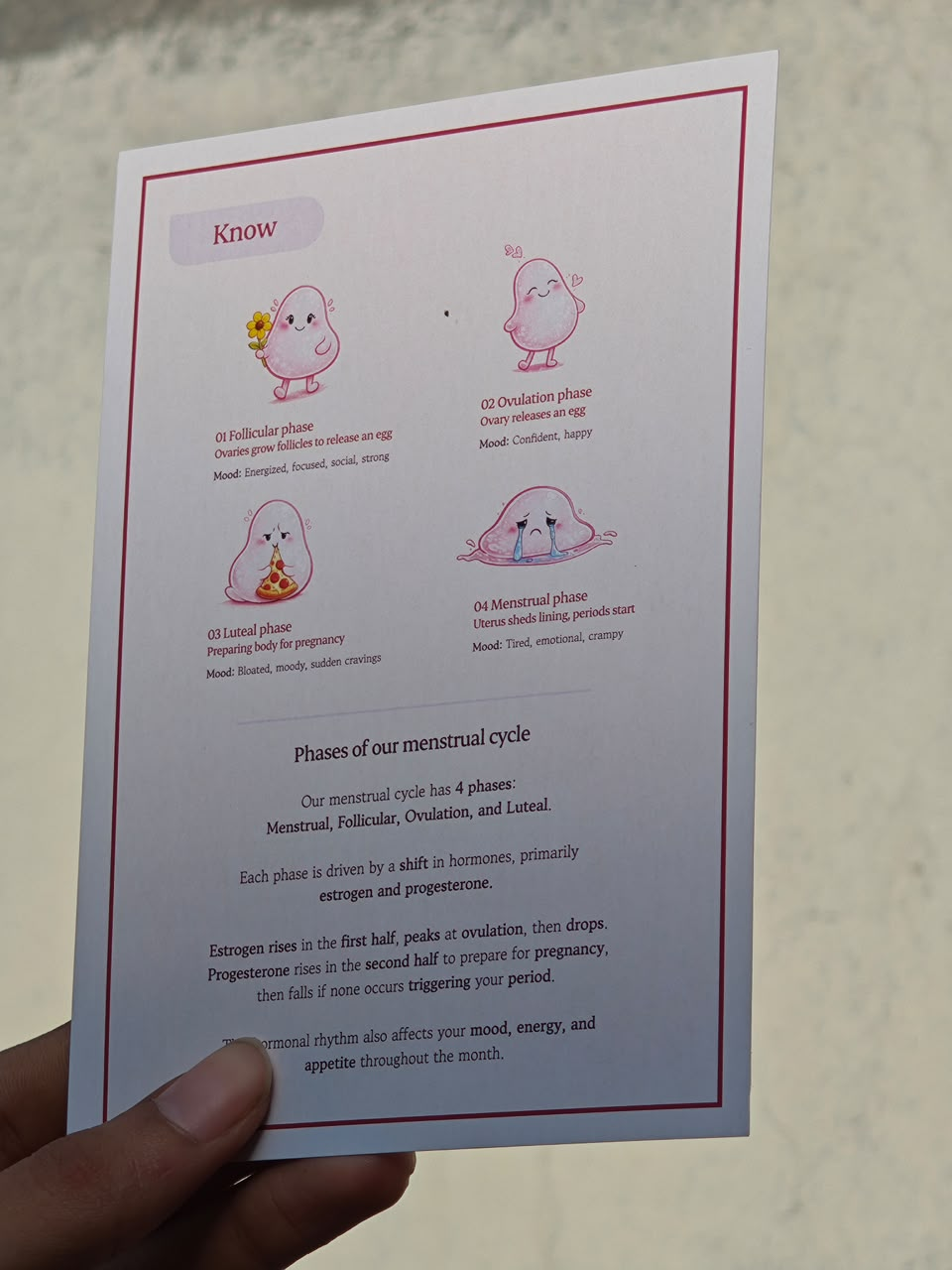 Know card explaining the four phases of the menstrual cycle